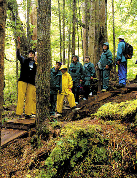 Orca Beach Nature Trail